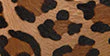 Image du produit 27