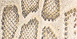 Image du produit 63